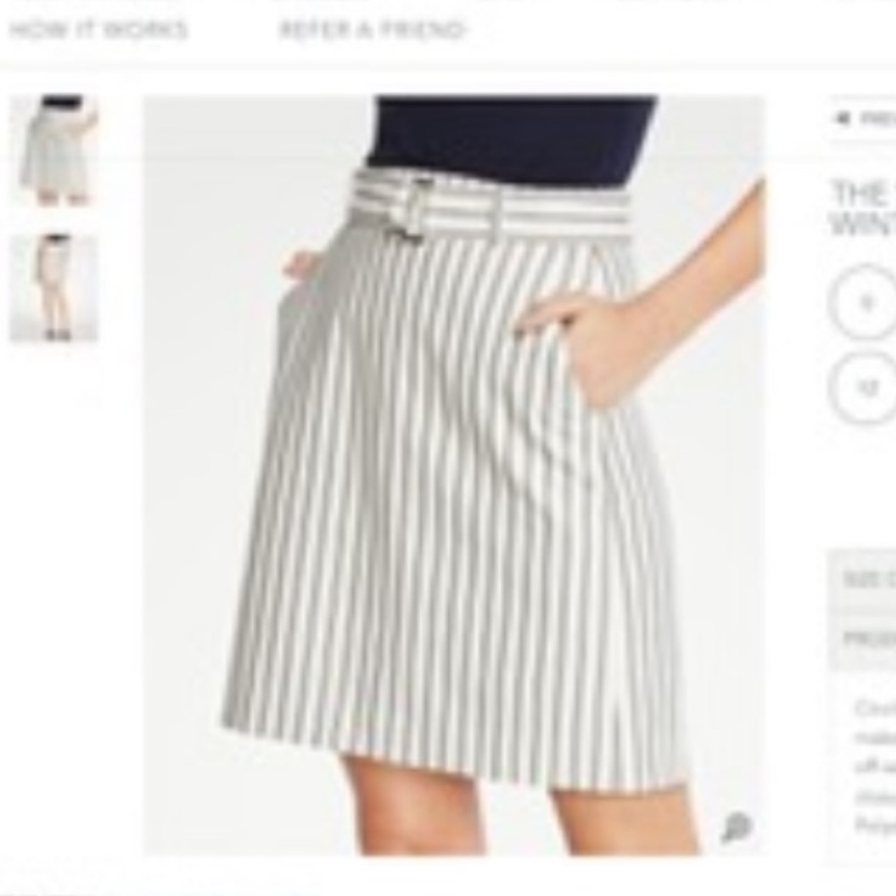 Ann Taylor Skirt